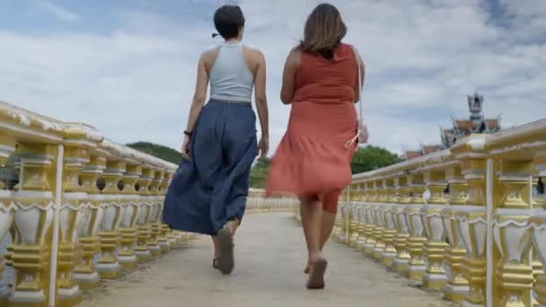 Vista Trasera Dos Mujeres Caminando Puente Del Antiguo Parque Del — Vídeos de Stock