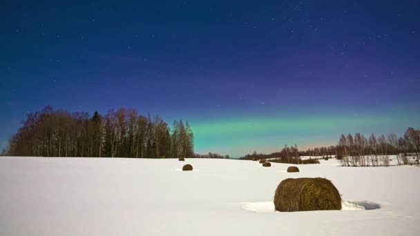 Zapierające Dech Piersiach Światła Zorzy Polarnej Nad Błękitnym Niebem Gwiazdami — Wideo stockowe