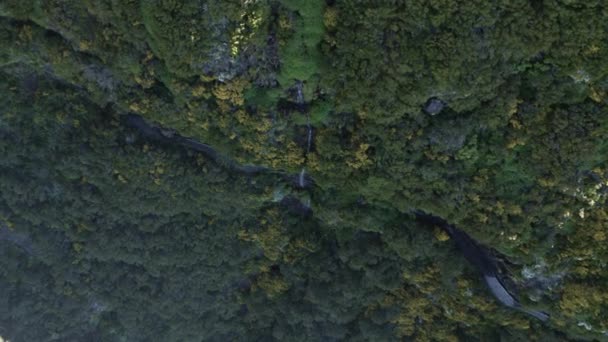 Bovenaanzicht Vanuit Lucht Van Een Smalle Waterval Langs Een Groene — Stockvideo