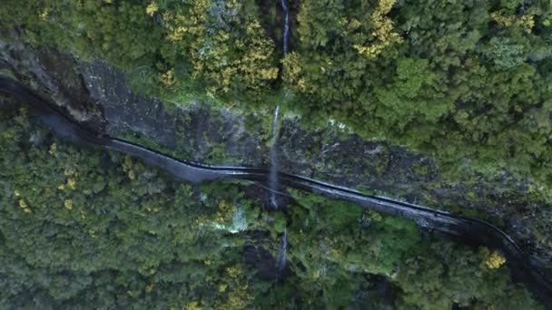 Luftaufnahme Eines Schmalen Wasserfalls Einer Grünen Klippe Auf Madeira — Stockvideo