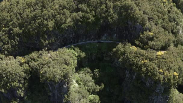 マデイラの緑の崖沿いの歩道の空中裏側の明らかに女の子のハイキングと — ストック動画