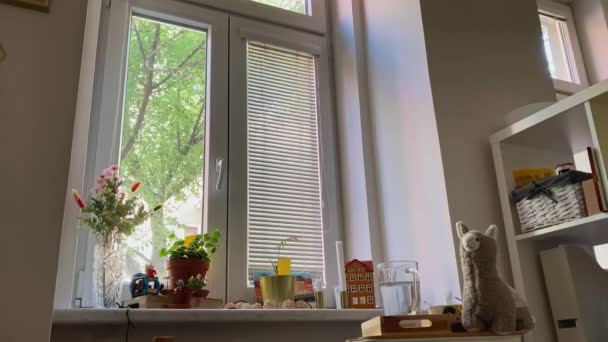 Morning View Window Tidy Student Room Decorations Flowers View Bed — Wideo stockowe