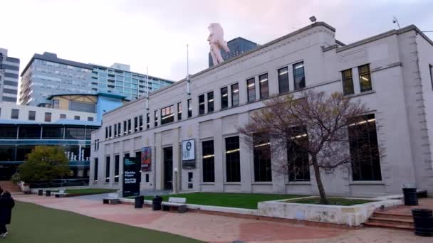 Wellington City Gallery Quasi Giant Face Hand Sculpture Top Building — Vídeos de Stock