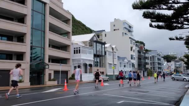 Pessoas Correndo Caminhando Baía Oriental Durante Maratona Gazley Volkswagen Wellington — Vídeo de Stock