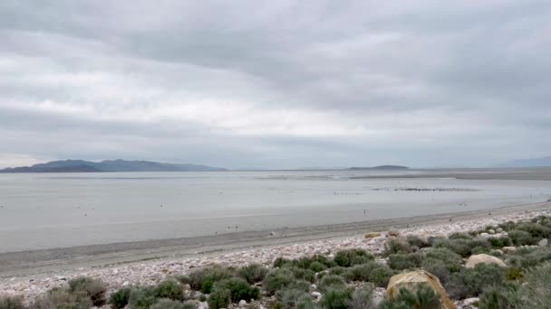 Wielkie Salt Lake Utah Linia Brzegowa Antelope Island — Wideo stockowe