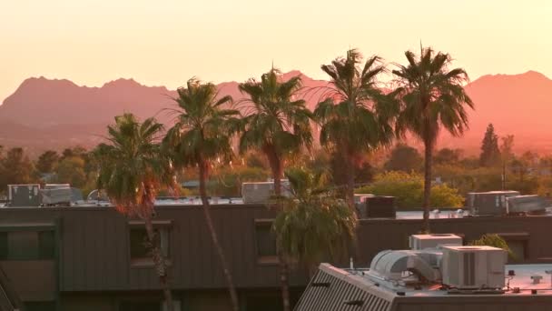 Tucson Arizona Condos Apartment Buildings Mountain Background Sunset Palm Trees — Stock videók