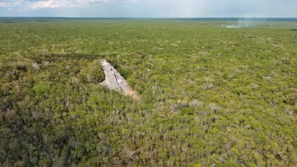 Coba Maya Ruinas Avión Tripulado Volar Por Encima Parte Superior — Vídeo de stock