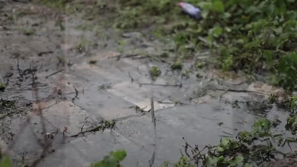 雨落在水泥地板上 美丽的大自然在雨中 — 图库视频影像