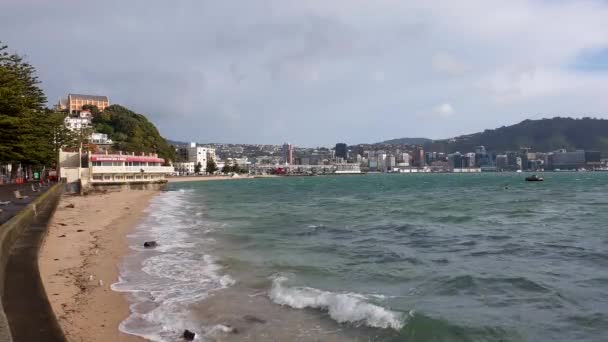 Choppy Harbour Empty Beach Waterfront Windy Winters Day Oriental Parade — Stockvideo