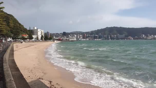 Популярный Пляж Oriental Bay Набережная Утонули Ветреный День Столице Новой — стоковое видео
