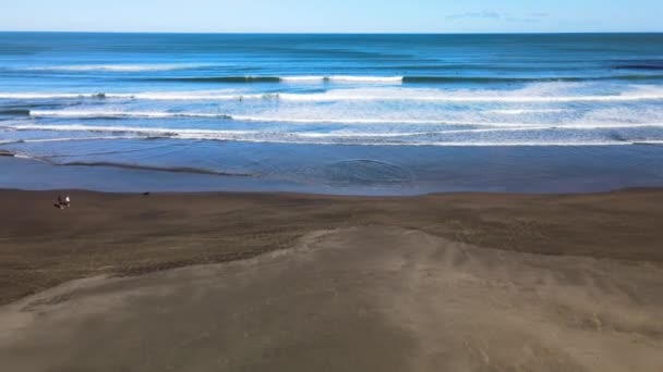 Vista Aérea Praia Areia Preta Piha Nova Zelândia — Vídeo de Stock