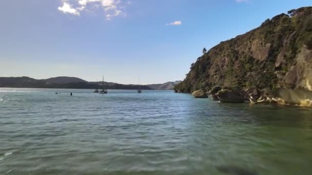 Flying Floating Boats Moored Ferry Landing New Zealand — Stockvideo