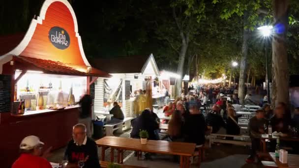 Timalapse Video Uit Hongarije Balatonfured Jaarlijkse Traditionele Wijnfestival Met Een — Stockvideo