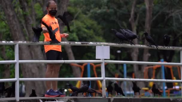 Азиатский Человек Кормящий Ворон Общественном Парке Лумпини Бангкок Таиланд Зум — стоковое видео