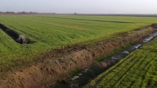 Předjíždění Nízká Šance Nad Širokým Zemědělstvím Zelená Pole Západním Údolí — Stock video
