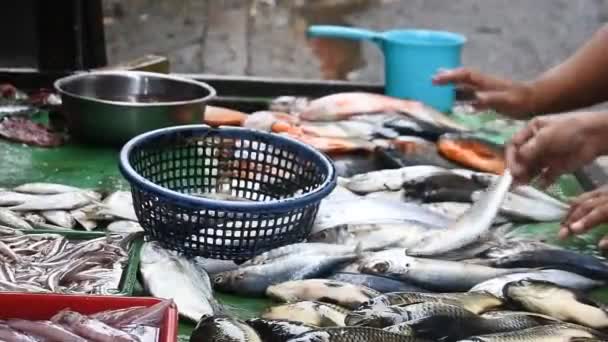 伝統的な市場での新鮮な海魚 デポック 西ジャワ州 インドネシア — ストック動画