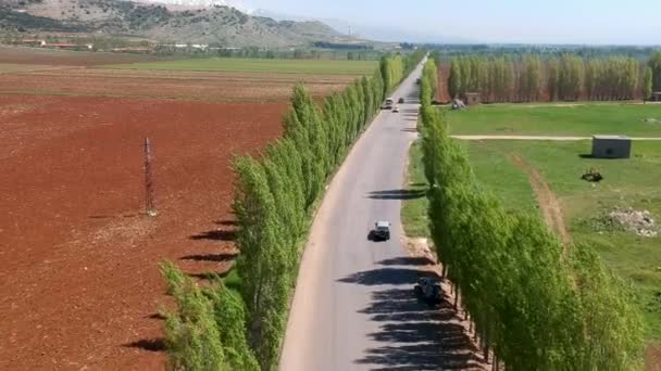 黎巴嫩贝卡谷地种植了两排高绿树的中间大街上经过的车辆的头顶开枪射击 — 图库视频影像