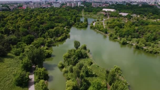 Luchtfoto Uitzicht Het Park Een Zonnige Dag — Stockvideo