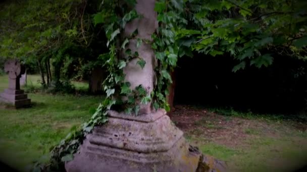 Ancient Ivy Clad Cross Old Churchyard — Stock videók