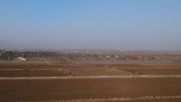 Entrando Juego Campos Verdes Plantación Vegetales Valle Occidental Beqaa Líbano — Vídeo de stock