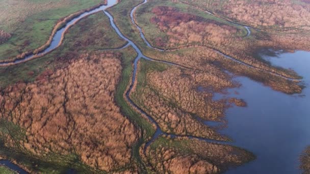 Scenic Aerial View River Delta Marshes Swamp Land Flooded Farmlands — Vídeo de Stock