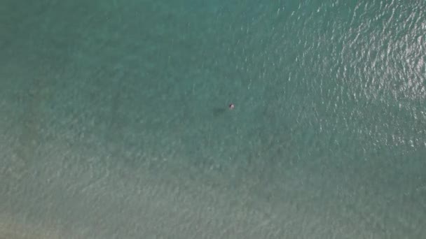 Drone Looks Woman Swimming Clear Tropical Ocean — Stockvideo