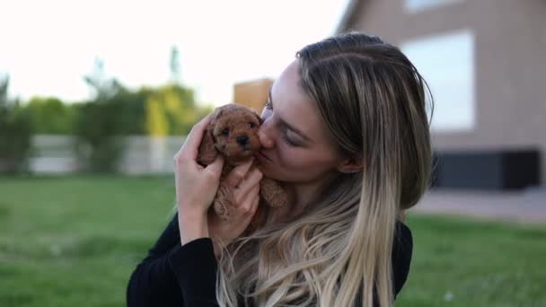 Female Pet Owner Holding Cuddling Small Cute Doodle Puppy Dog — Stock Video