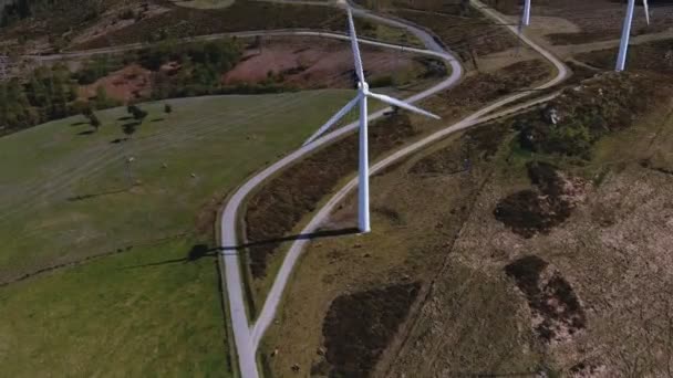 Větrné Mlýny Stály Vedle Stáda Dobytka Pod Elektrickým Vedením Zalesněné — Stock video