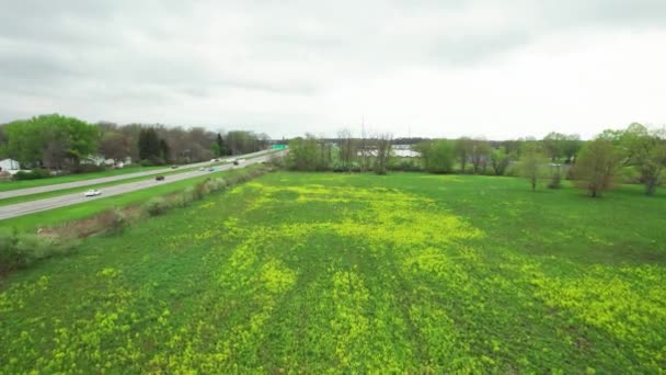 車で高速道路の隣に春の牧草地フィールドに咲く高速道路と黄色の花を旅 — ストック動画