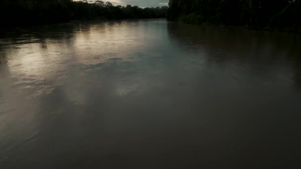 Acque Tranquille Del Rio Delle Amazzoni Durante Tramonto Colpo Drone — Video Stock