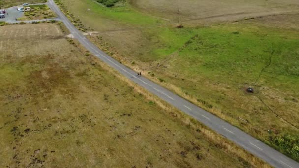 Stałe Ujęcie Dwóch Osób Biegających Drodze Środku Zielonego Pięknego Pola — Wideo stockowe