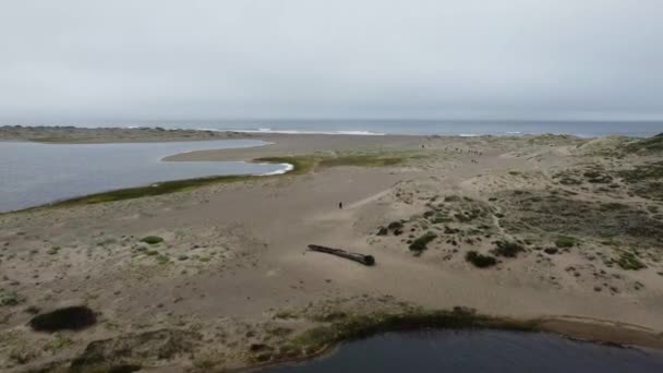 Předjíždění Shot Anonymous Person Walking Lonely Peacefully Sandy Beach Poblíž — Stock video