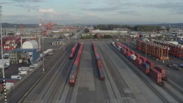 Panoramisch Uitzicht Husky Terminal Met Industriële Containers Kranen Haven Van — Stockvideo