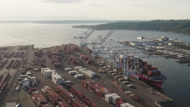 Vrachtcontainers Kade Kranen Husky Terminal Binnen Grenzen Van Tacoma Port — Stockvideo