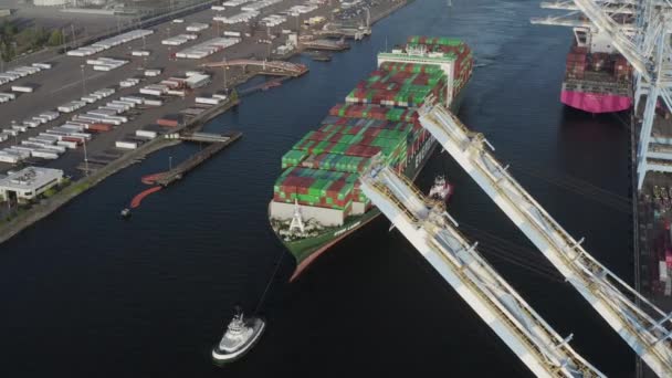 Bogserbåtar Och Lastfartyg Fullastade Med Intermodala Containrar För Sjöfart Blair — Stockvideo