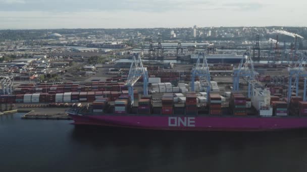 Luftaufnahme Der Husky Terminal Dockyard Tacoma Washington — Stockvideo