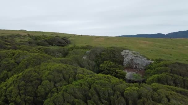 Drone Voando Para Pessoas Que Caminham Natureza Virgem Indo Para — Vídeo de Stock