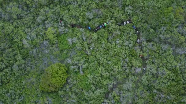 Static Girato Squadra Trovare Loro Modo Taglio Erba Verde Natura — Video Stock