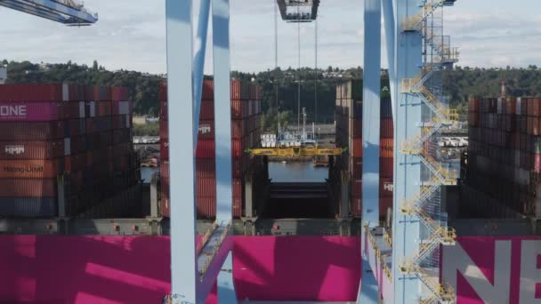 Velký Průmyslový Jeřáb Pro Nákladní Kontejnery Husky Terminal Tacoma Washington — Stock video