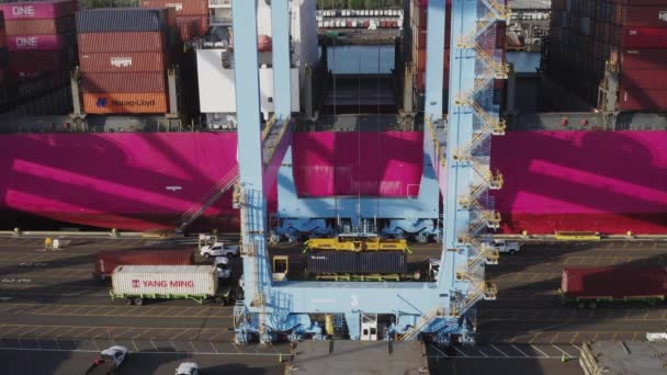 Schwerlastportalkran Und Intermodale Container Husky Terminal Hafen Von Tacoma Washington — Stockvideo