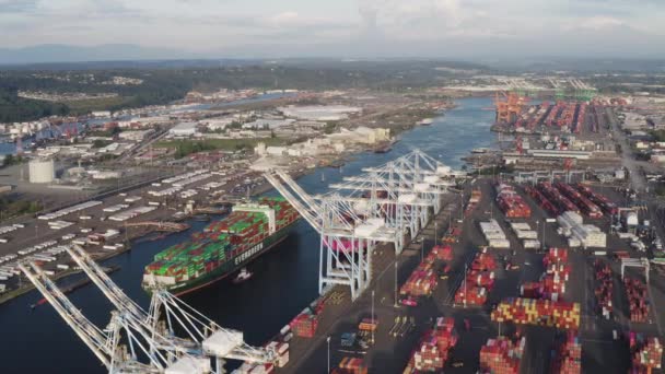 Panoramic View Husky Terminal Tacoma Washington Daytime Aerial Drone Shot — Stock Video