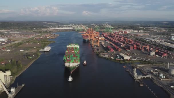 Konténerhajó Industrial Port Husky Terminal Port Tacoma Washington Usa Légi — Stock videók