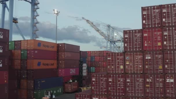 Stivuitor Camion Ridicarea Container Marfă Terminalul Husky Portul Tacoma Din — Videoclip de stoc