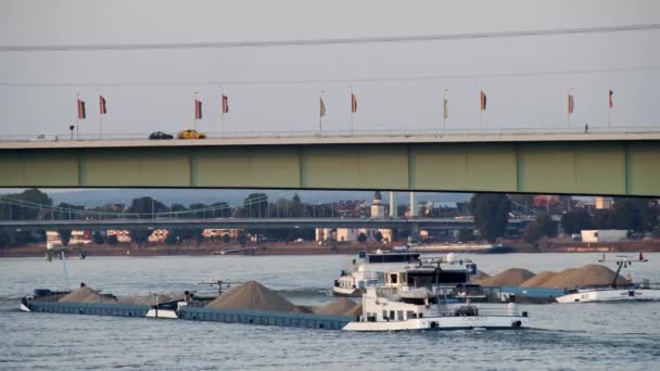 Colonia Con Zoo Brcke Con Nave Carico Sul Reno — Video Stock