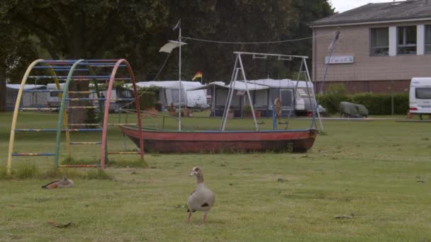 Goose Meadow Front Rusty Sadly Abandoned Playground Old Swing Campsite — Stockvideo