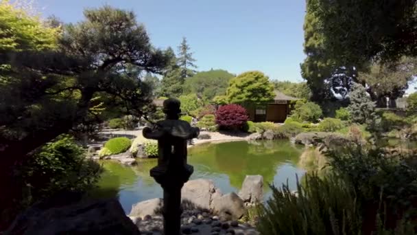 Pan Tiro Alrededor Del Estanque Jardín Japonés Que Muestra Fuente — Vídeo de stock