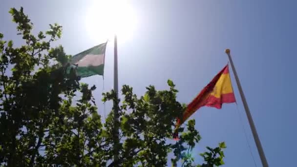 安达卢西亚和西班牙的国旗 绿树成叶 迎风飘扬 迎着阳光普照的蓝天 低角度 — 图库视频影像