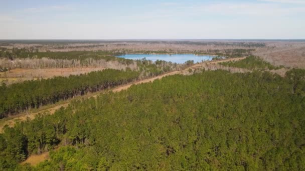 Vasto Paisaje Extiende Hasta Horizonte Pasado Exuberante Bosque Hacia Lago — Vídeo de stock