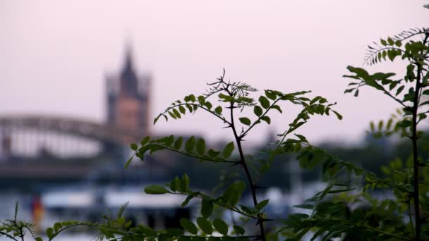 Панорама Колоньи Германия Размытом Свете Фокусом Башню Церкви Святого Мартина — стоковое видео