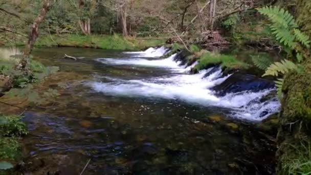 春に緑の谷を流れる川の砂のダムの小さな滝 カメラが左に回ってる ルーゴ ガリシア スペイン — ストック動画